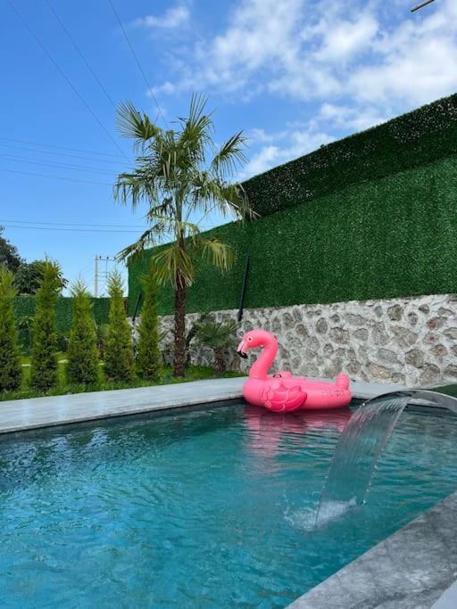 Shino Sapanca'Da Sicak Havuzlu Tatil Keyfi!ヴィラ エクステリア 写真
